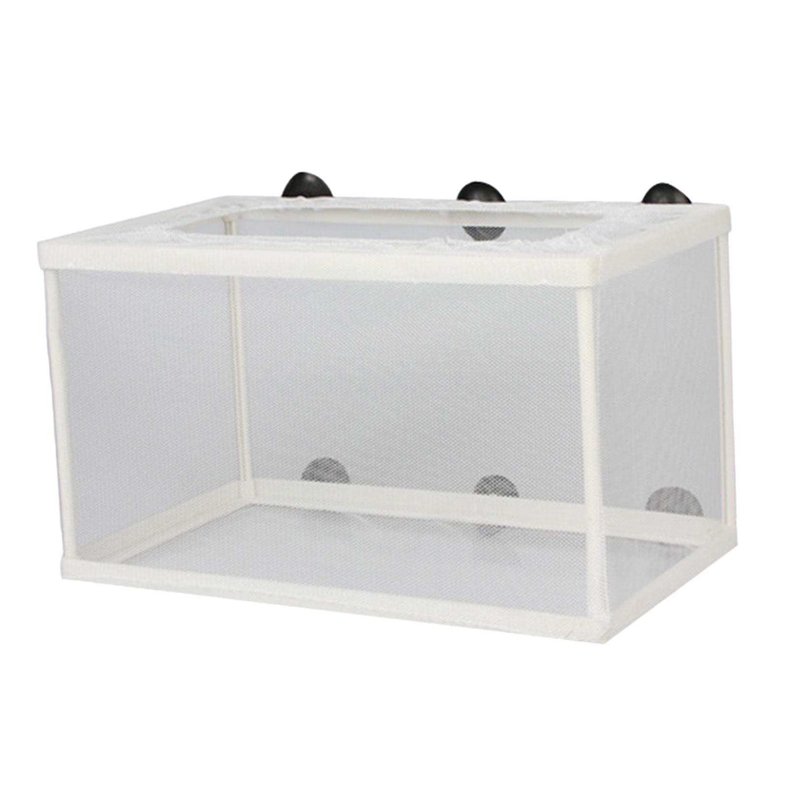 Fish Breeder Box Separation Ju - đánh giá và giá Lab Incubator