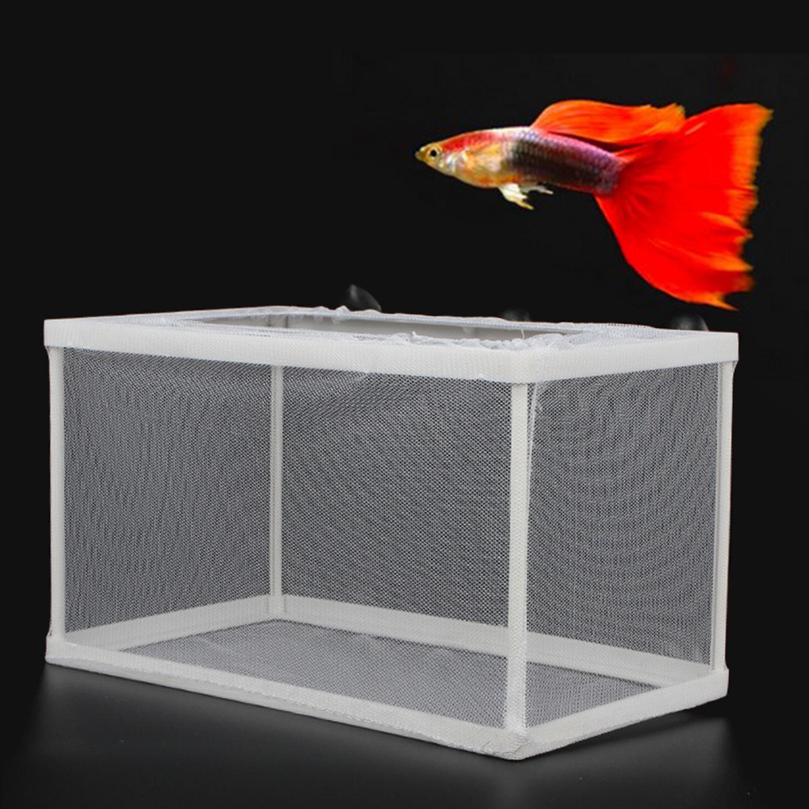 Fish Breeder Box Separation Ju - đánh giá và giá Lab Incubator