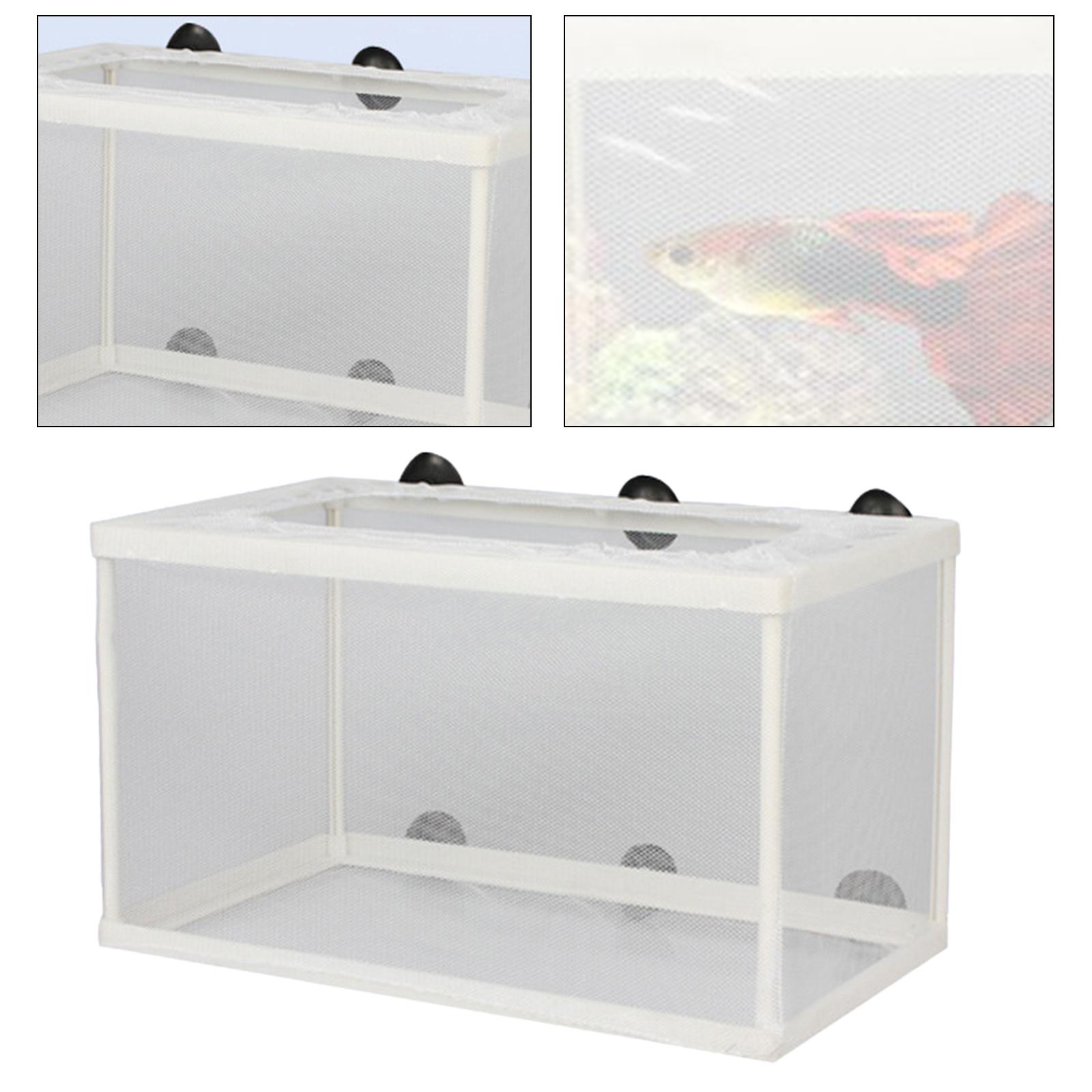 Fish Breeder Box Separation Ju - đánh giá và giá Lab Incubator