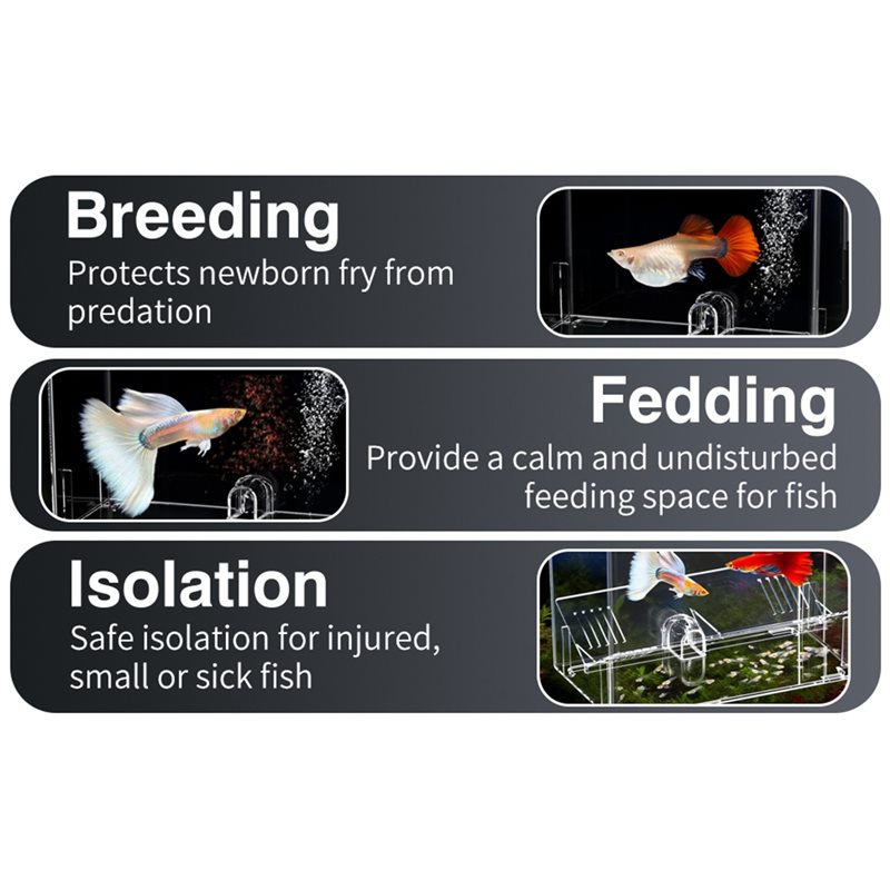 A25F-Baby Fish Breeding Box Cl - đánh giá và giá Lab Incubator