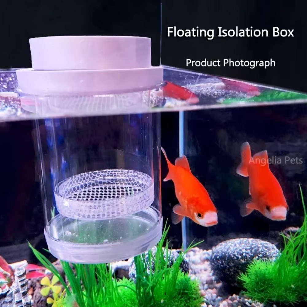 Plastic Floating Fish Breeding - đánh giá và giá Lab Incubator