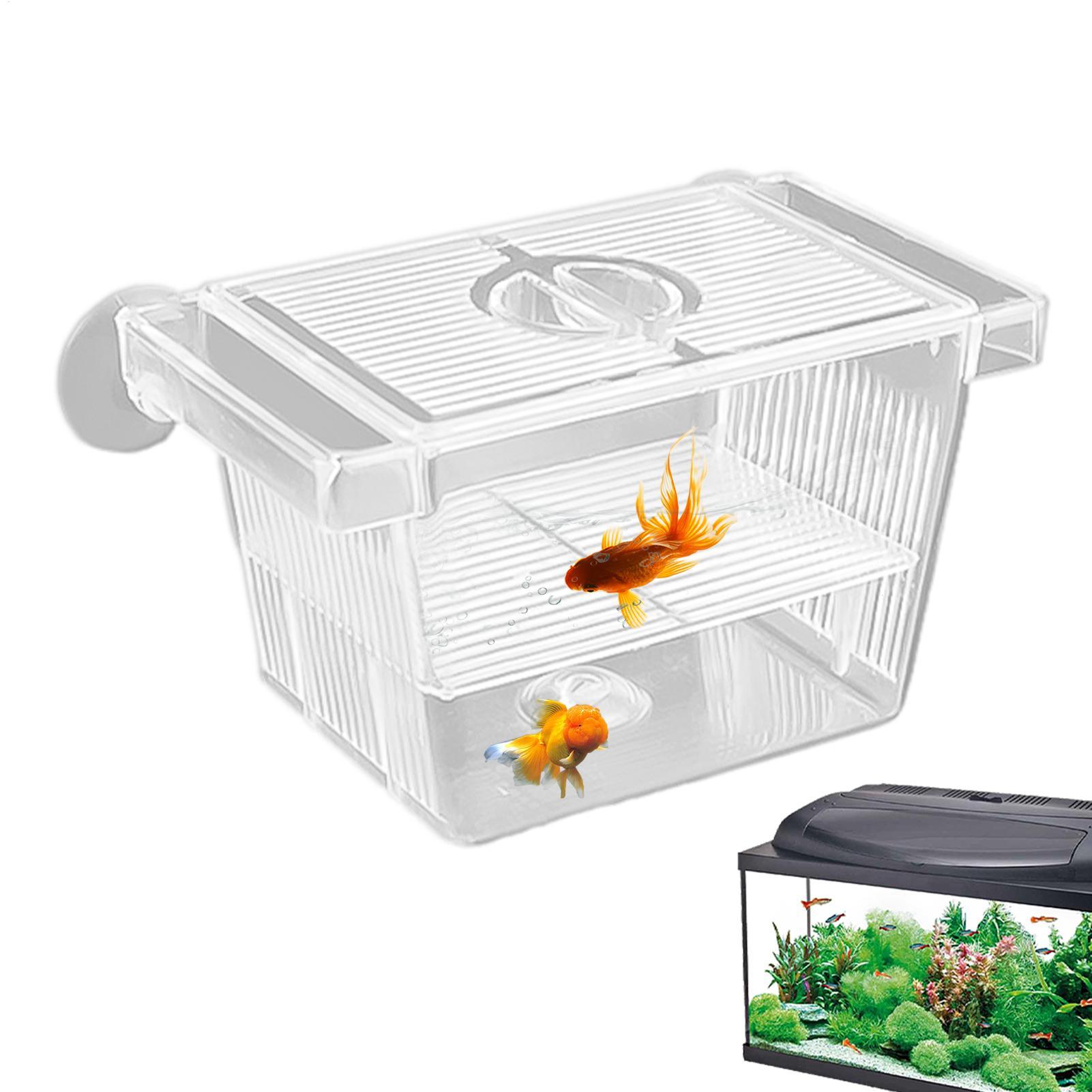 Aquarium Hatchery Acrylic Isol - đánh giá và giá Lab Incubator