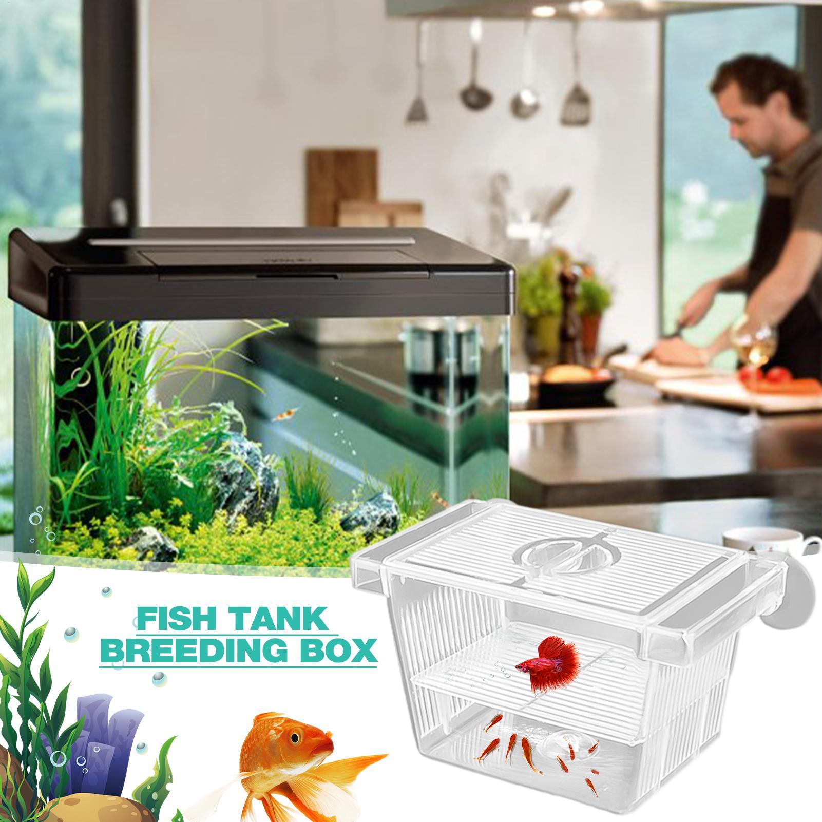 Aquarium Hatchery Acrylic Isol - đánh giá và giá Lab Incubator